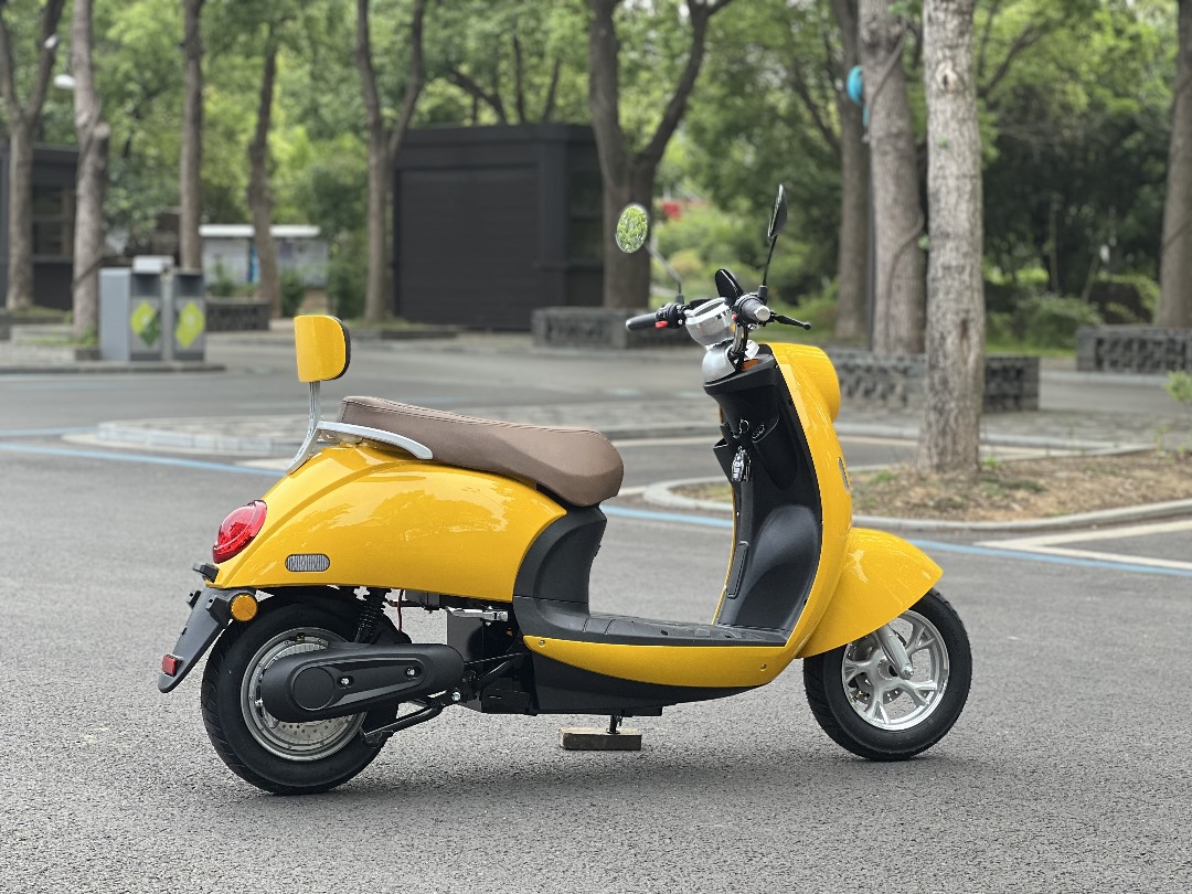 ZP18L CITY X Electric Motorcycle - 1500W Power